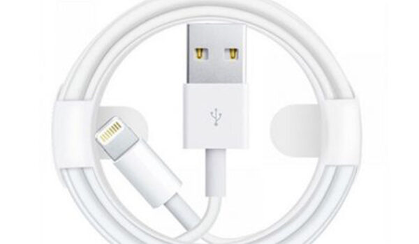 0003172 6s e1763721755887